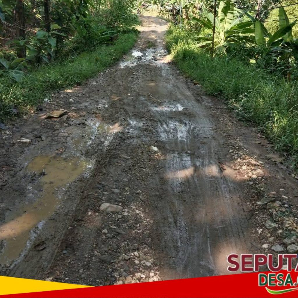 Jalan Deras–Penadaran Rusak Parah, Warga Gerah dan Bergerak Tanpa Pemerintah