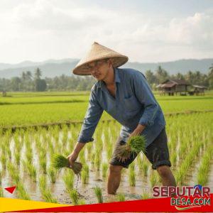 Gubernur Kaltim Rudy Mas’ud Gagas Program Cetak Sawah 25 Hektare untuk Perkuat Ketahanan Pangan