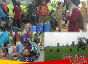 Sinergi TNI dan Penyuluh Pertanian, Babinsa Sukorejo Kawal Penyemprotan Hama