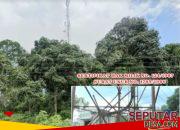 Tower BTS Milik PT XL Axiata dan PT Protelindo di Lambuya Terancam Disegel