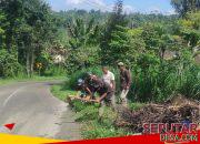 Peduli Keselamatan Pengguna Jalan, Babinsa Sumberpitu Bersama Warga Bersihkan Rumput Liar