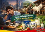Kelelahan Kronis Masyarakat Urban dan Kembalinya Pilihan Nutrisi Alami