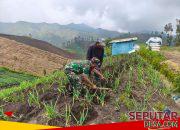 Dukung Ketahanan Pangan, Babinsa Komsos Bersama Warga