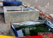 Mengubah Pekarangan Jadi Harapan: Ibnu Labib Azhari, Siswa SMK yang Tekuni Budidaya Lele di Tengah Keterbatasan