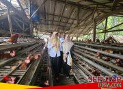 DPMD Sampang Gelar Monev di BUMDesa Barokah Karangpenang Oloh, Baru Berjalan Beberapa Bulan Sukses Setor Laba Rp40 Juta.