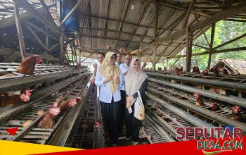 DPMD Sampang Gelar Monev di BUMDesa Barokah Karangpenang Oloh, Baru Berjalan Beberapa Bulan Sukses Setor Laba Rp40 Juta.