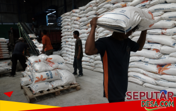 Di Balik Angka 5,3 Juta Ton: BULOG dan Tranmisi Pangan