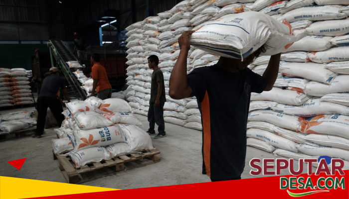 Di Balik Angka 5,3 Juta Ton: BULOG dan Tranmisi Pangan