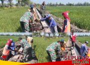 Babinsa dan Warga Slambrit Gotong Royong Bangun Saluran Irigasi Demi Kelancaran Pertanian