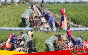 Babinsa dan Warga Slambrit Gotong Royong Bangun Saluran Irigasi Demi Kelancaran Pertanian