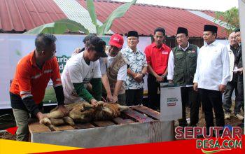 Kuningan Terpilih Jadi Pelaksanaan Program Kurban Berkah Berdayakan Desa