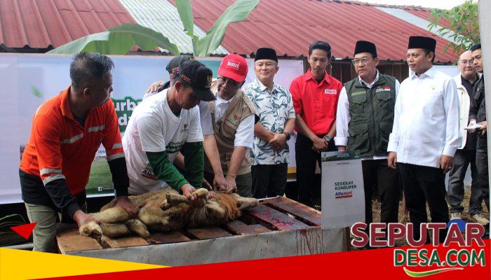 Kuningan Terpilih Jadi Pelaksanaan Program Kurban Berkah Berdayakan Desa