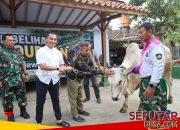 Kodim 0708 Purworejo Salurkan Hewan Kurban, Perkuat Kepedulian Sosial di Momentum Iduladha