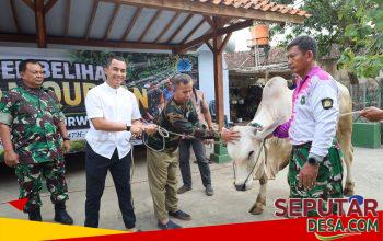 Kodim 0708 Purworejo Salurkan Hewan Kurban, Perkuat Kepedulian Sosial di Momentum Iduladha