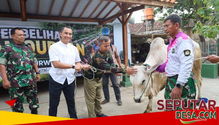Kodim 0708 Purworejo Salurkan Hewan Kurban, Perkuat Kepedulian Sosial di Momentum Iduladha