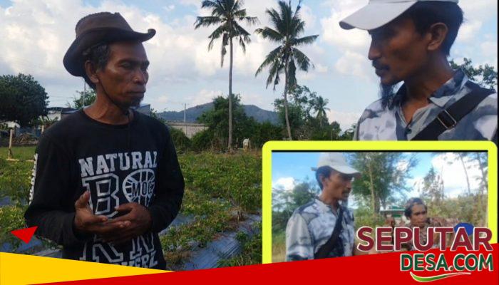 Lahan Pemerintah Dikelola Rakyat, BMI Dorong Kemandirian Ekonomi Masyarakat Desa Bara