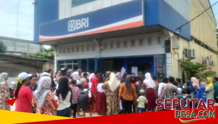 Ribuan Orang Tua dan Siswa Serbu BRI Ajamu, Antrean Mengular Demi Bantuan PIP dan KIP