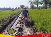 Babinsa Kraton dan Warga Gotong Royong Bangun Selokan, Dukung Kelancaran Pengairan Sawah