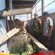 Babinsa Koramil 0819/24 Tutur Laksanakan Komsos Bersama Peternak Sapi di Desa Binaan