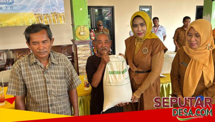 Operasi Senyap Kemiskinan di Wonoayu, Wabup Mimik Idayana Gedor Tiga Desa Amankan Ketahanan Pangan Rakyat!