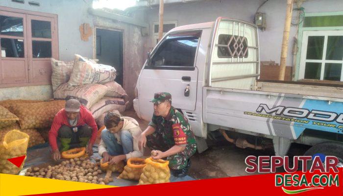 Babinsa Ngadirejo Perkuat Sinergi Petani dan Pedagang