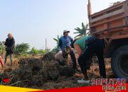 Usai Panen MT II, Warga Dusun Tempuran Jatilor Godong Gotong Royong Angkut Tanah untuk Persiapan Musim Tanam