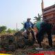 Usai Panen MT II, Warga Dusun Tempuran Jatilor Godong Gotong Royong Angkut Tanah untuk Persiapan Musim Tanam
