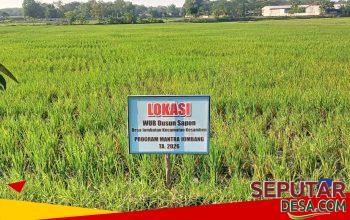 WUB Desa Jombatan Kembangkan Pertanian melalui Program Desa Mantra 2026, Dorong Kemandirian Ekonomi Warga