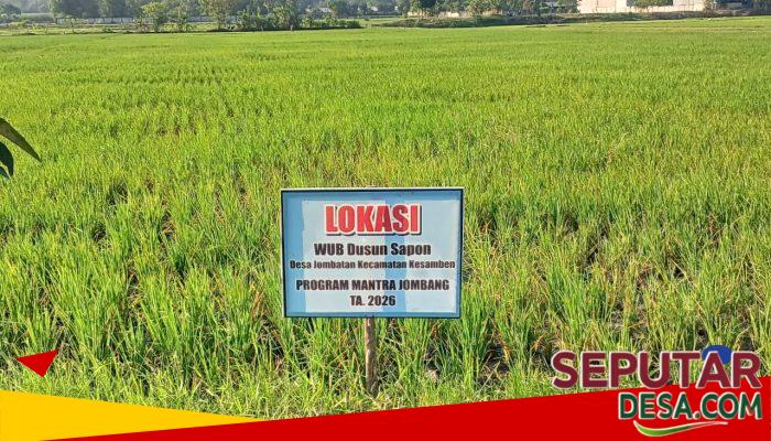 WUB Desa Jombatan Kembangkan Pertanian melalui Program Desa Mantra 2026, Dorong Kemandirian Ekonomi Warga
