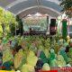 Lautan Jamaah Padati Pengajian Kubro Ahad Pon PAC Muslimat NU Megaluh, Teguhkan Ukhuwah Ahlussunnah wal Jamaah