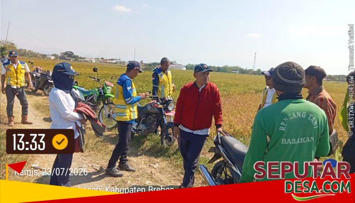 Mitigasi Kekeringan, Unit Pengelola Bendungan Kuningan Cek Lapangan di Daerah Irigasi Jengkelok Seluas 6.279 Hektare