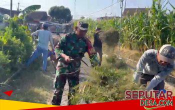 Jalan Desa Dipenuhi Rumput, Babinsa dan Warga Sigap Lakukan Pembersihan