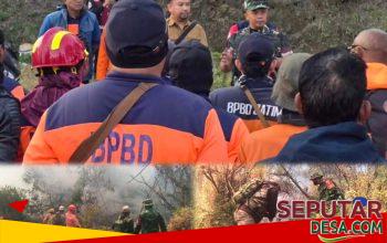 Api Karhutla TNBTS Blok Bungkah dan Mungal Padam, Dandim Pasuruan Pimpin Pengecekan dan Pastikan Personel Tetap Siaga