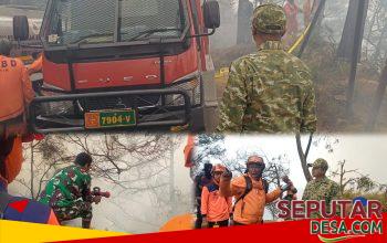 Damkar Kodim 0819 Dikerahkan ke TNBTS, Dandim Pastikan Penanganan Kebakaran Terus Dioptimalkan