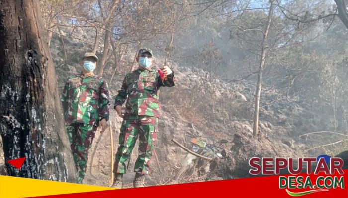 Cek Lokasi terkini Karhutla Bromo, Dandim 0819/Pasuruan Dampingi Danrem 083/Bdj