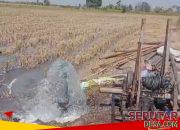 Air Mengalir Tanpa Sibel, Sumur Bor Program Irpom Kementan di Podoroto Diduga Tembus Akuifer Artesis pada Kedalaman 84 Meter