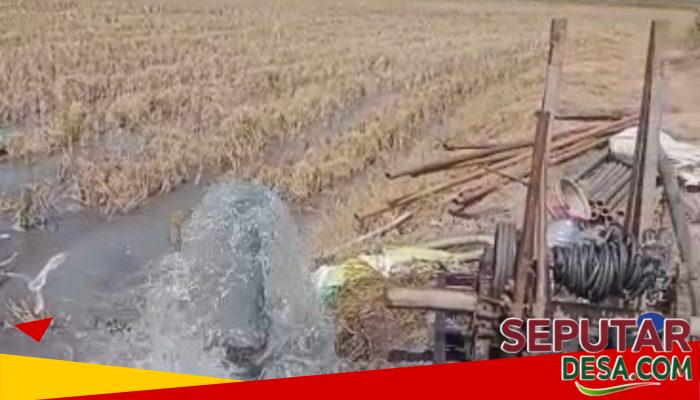 Air Mengalir Tanpa Sibel, Sumur Bor Program Irpom Kementan di Podoroto Diduga Tembus Akuifer Artesis pada Kedalaman 84 Meter