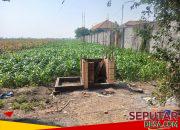 Papan Proyek Tak Terpasang, Pengerjaan Irpom Bantuan Kementan di Desa Kesamben Disorot