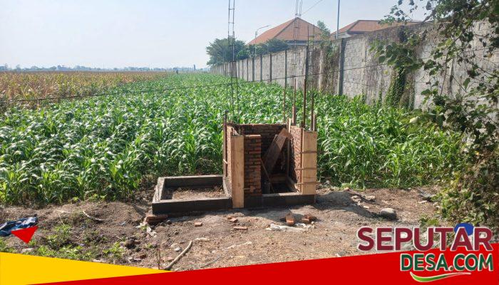 Papan Proyek Tak Terpasang, Pengerjaan Irpom Bantuan Kementan di Desa Kesamben Disorot