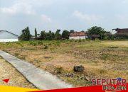 Aduan Warga Soal Lapangan Bringin Ditanami Pisang, Benarkah Sesuai Hasil Musyawarah?