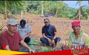 Duduk Beralas Daun Pisang, Anggota DPRD Lampung Temui Petani dan Serap Aspirasi
