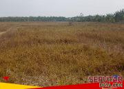 Kekeringan Melanda Desa Pacakan Tanah Bumbu, Warga Beli Air Tangki Rp150 Ribu