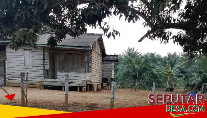 Potret Terkini Eks Transmigrasi Tapus: Dari 100 Rumah, Kini Tersisa 60 KK, Warga Bertahan di Tengah Perkebunan Sawit
