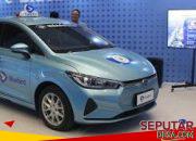 Transisi Hijau Bluebird
