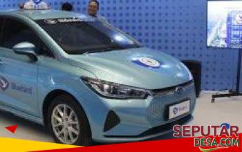 Transisi Hijau Bluebird