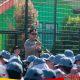 Gatur Pagi dan Pimpin Apel, Kapolres Batu AKBP Panji Gedhe Tanamkan Disiplin Hingga Anti Bullying di SMA 2 Batu