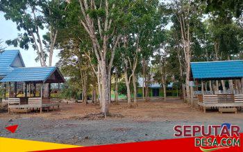 SMAN 1 Kusan Hulu Pertahankan Lingkungan Asri, Ruang Terbuka Jadi Penunjang Aktivitas Siswa