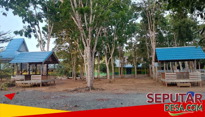 SMAN 1 Kusan Hulu Pertahankan Lingkungan Asri, Ruang Terbuka Jadi Penunjang Aktivitas Siswa