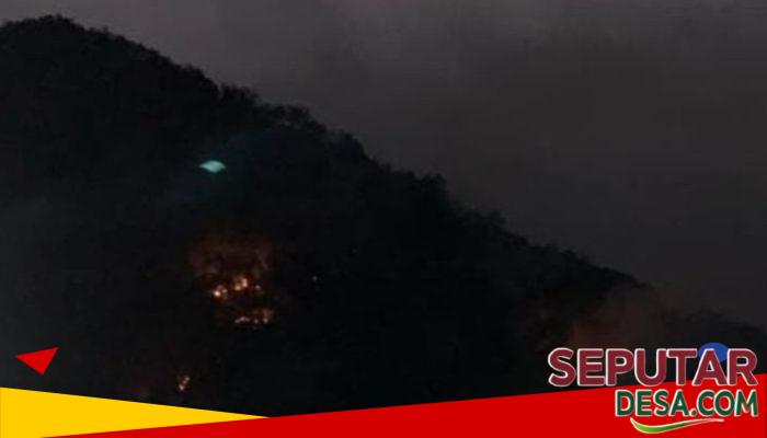 Bukit Taliut Terbakar di Tengah Kemarau Panjang, Petugas Damkar Bergerak