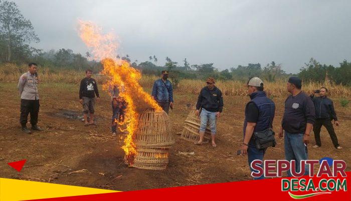 Polisi Bakar Arena yang Diduga untuk Sabung Ayam di Donowarih Karangploso
